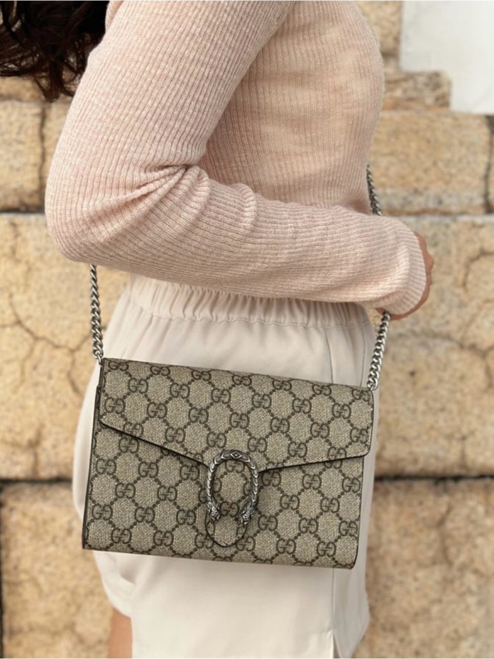 Gucci Dionysus GG Supreme Wallet on Chain Crossbody Bag (not the mini)